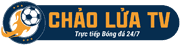 arsenal đấu với brighton